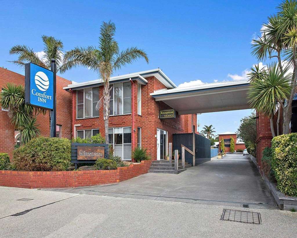 The International Motel Apollo Bay Bagian luar foto